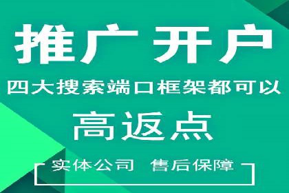 SEM代理案例：揭秘成功背后的秘密